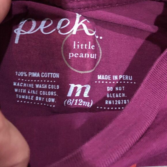 Peek 6-12 Month Baby Girl Graphic Tee Shirts Purple Pink Orange Fall Pima Cotton - Picture 3 of 5